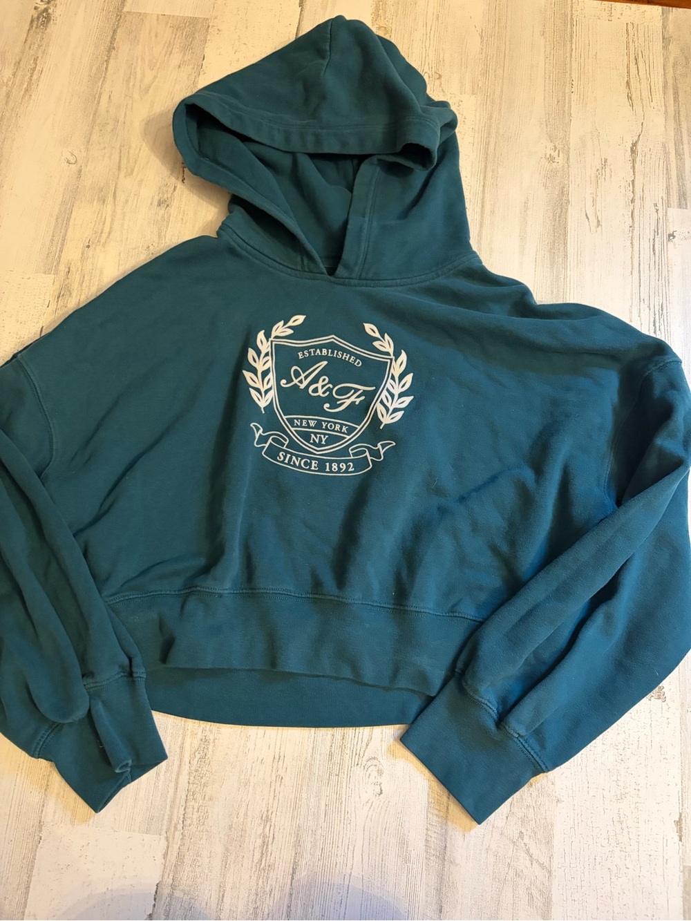 Abercrombie and Fitch cropped hoodie